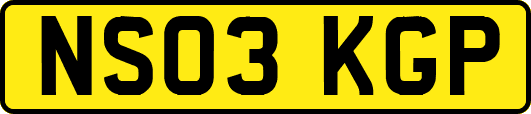 NS03KGP