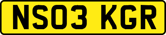 NS03KGR