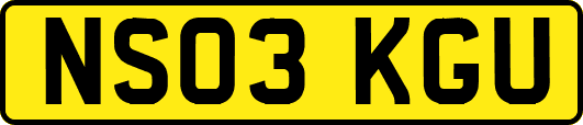 NS03KGU
