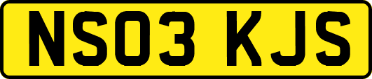 NS03KJS