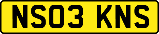 NS03KNS