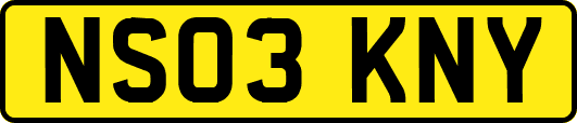 NS03KNY