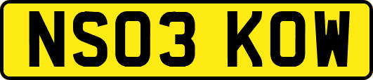 NS03KOW