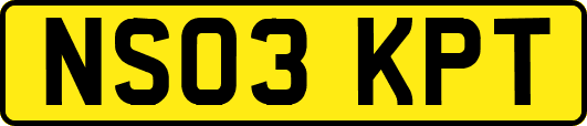 NS03KPT