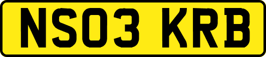 NS03KRB