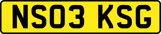 NS03KSG