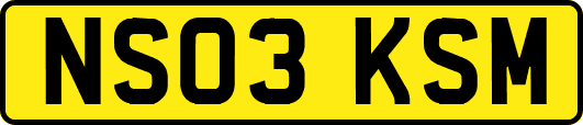 NS03KSM