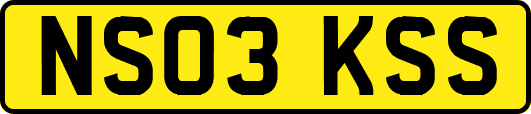 NS03KSS