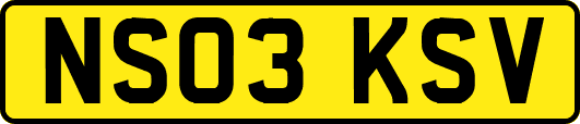 NS03KSV