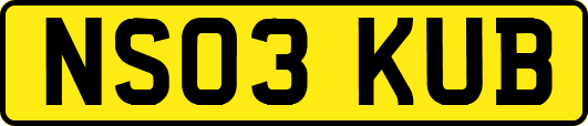 NS03KUB