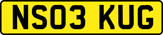 NS03KUG