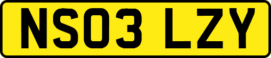 NS03LZY