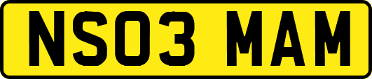 NS03MAM