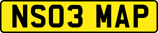 NS03MAP