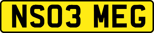NS03MEG