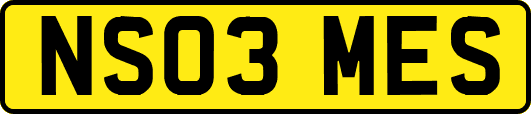 NS03MES