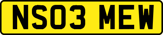 NS03MEW