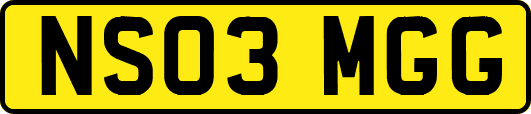 NS03MGG