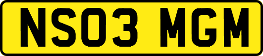 NS03MGM