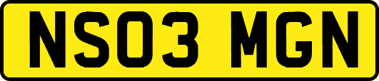 NS03MGN