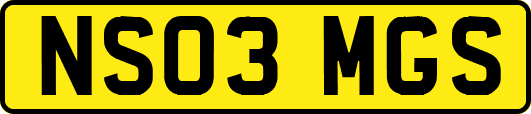 NS03MGS