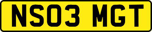 NS03MGT