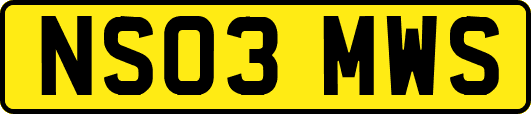 NS03MWS