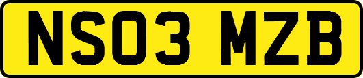 NS03MZB