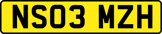 NS03MZH