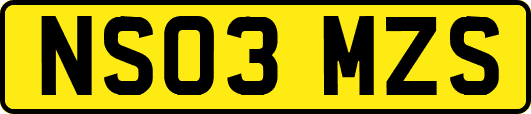 NS03MZS