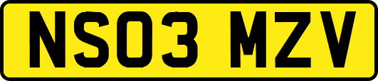 NS03MZV