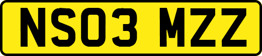 NS03MZZ