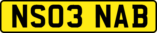 NS03NAB