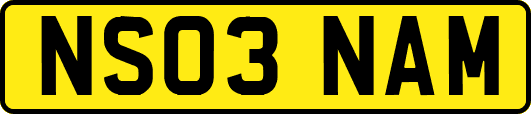 NS03NAM