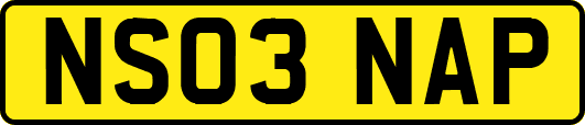 NS03NAP