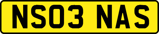 NS03NAS