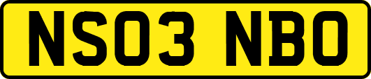 NS03NBO