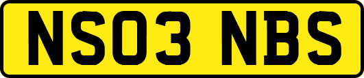 NS03NBS
