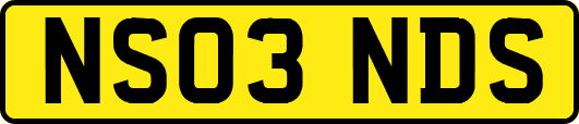 NS03NDS