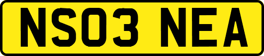 NS03NEA