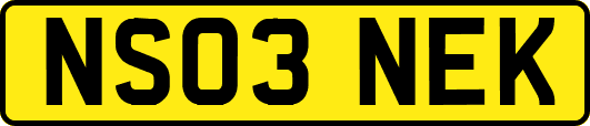 NS03NEK
