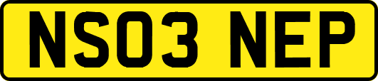 NS03NEP