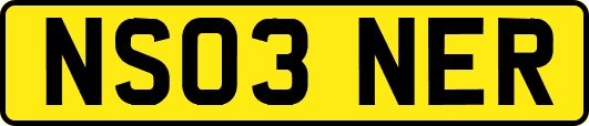 NS03NER