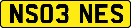 NS03NES
