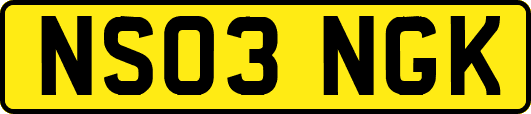 NS03NGK