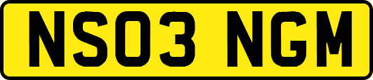 NS03NGM