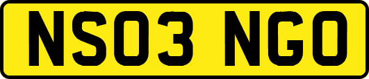 NS03NGO