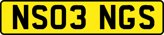 NS03NGS