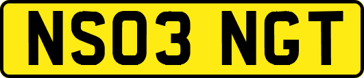NS03NGT