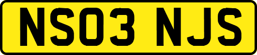 NS03NJS